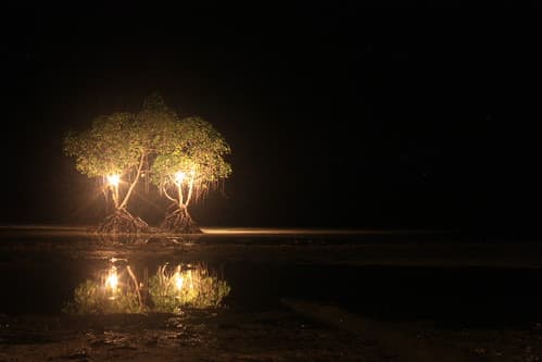 Puerto Princesa, Palawan, Philippines