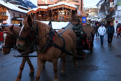 Horses on Ischgl ski resort city center