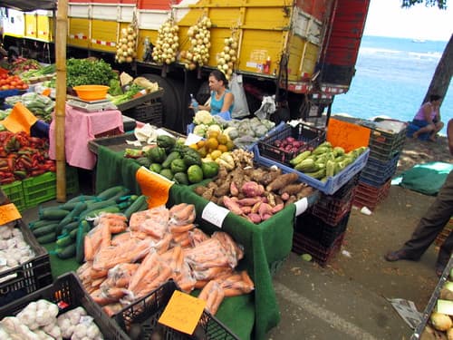 Quepos Farmers Market - Costa Rica travel