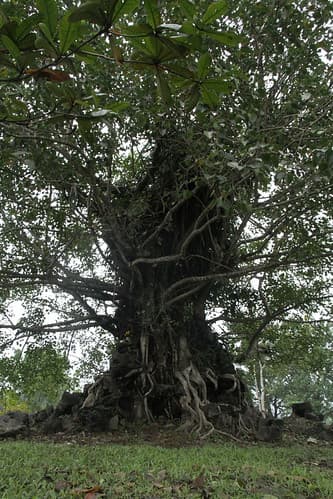 Hué - Vietnam