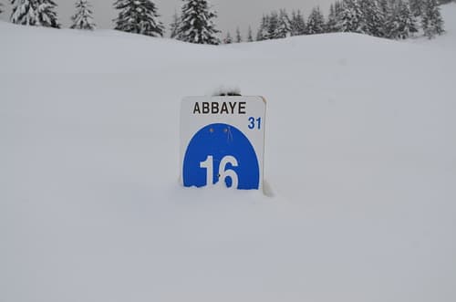 Les Houches