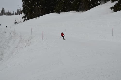 Les Houches