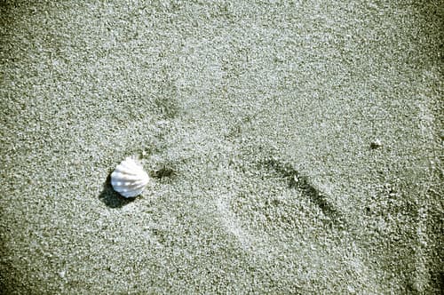 Naples beach, Florida
