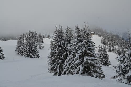 Les Houches