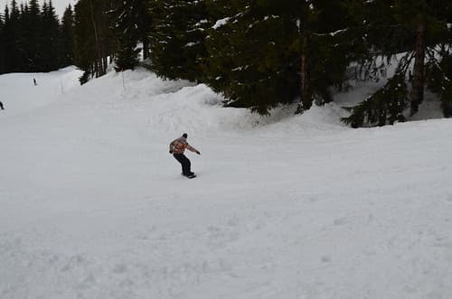 Les Houches