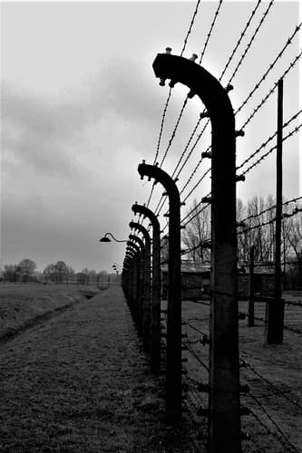 Auschwitz II - Birkenau, Poland