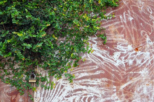 wall in Douala