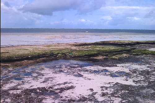 mombasa-beach
