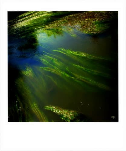Au fil de l'eau...