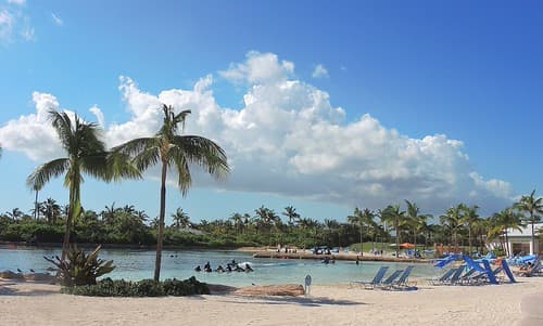 Bahamas (Paradise Island) Dolphin Cay offers swimming with playful bottlenose dolphines