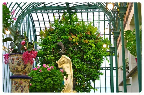 Les serres Royales de Laeken - Bruxelles (Belgique)