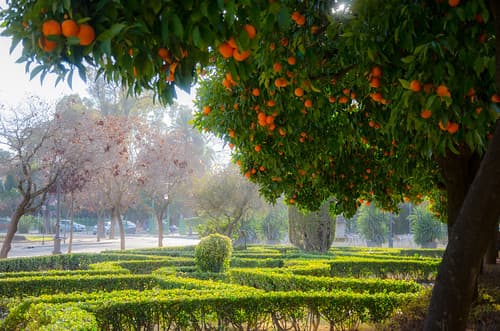 Andalucía, Sevilla, plaza de America