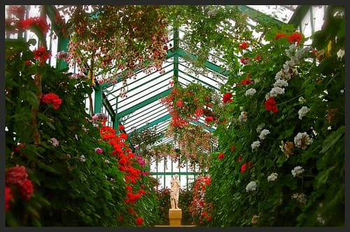 Les serres Royales de Laeken - Bruxelles (Belgique)