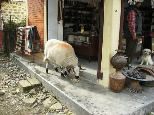 Nepal