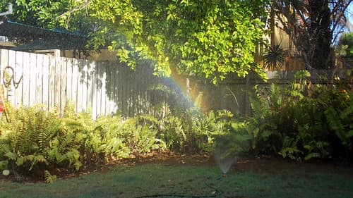 Portative Rainbow