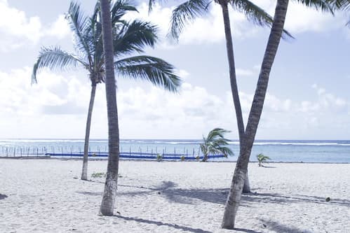 J3 (Jour J) : Caribewave à la Désirade - installation par Gwadalug du pont wifi reliant la plage de la Désirade à la Chapelle et allant jusqu'à Saint François