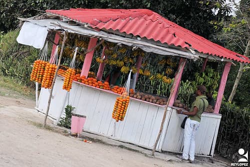 las tunas a santiago (1)