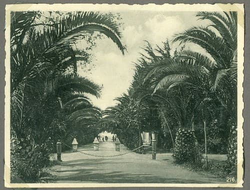 Passage to the Congo in 1939