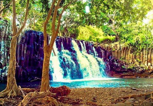 Rochester Fall in Surinam, Mauritius!