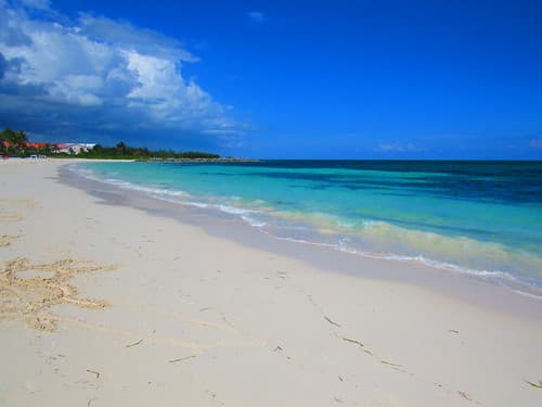 Paradise Found