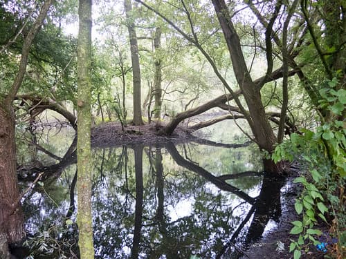 2016 - Grand parc - Enghien