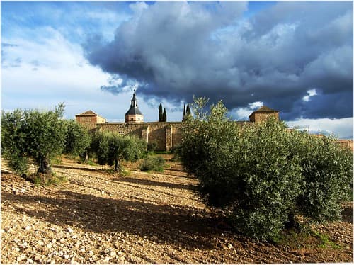 4437-Loeches (Madrid)