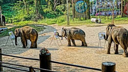 2019-02-11_09-44-09_ILCE-6500_DSC02054_DxO