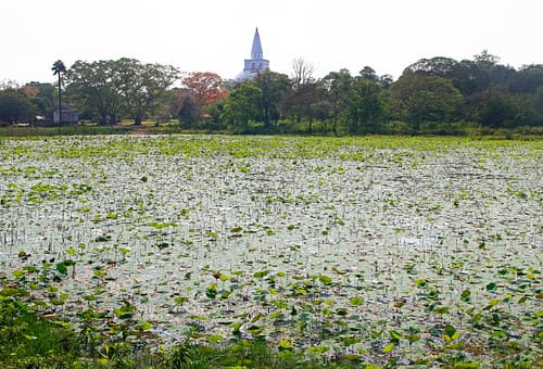 Mirisavatiya Dagoba in Anuradhapura, Sri Lanka