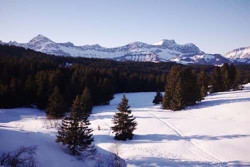 Les Saisies