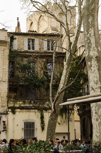 Avignon