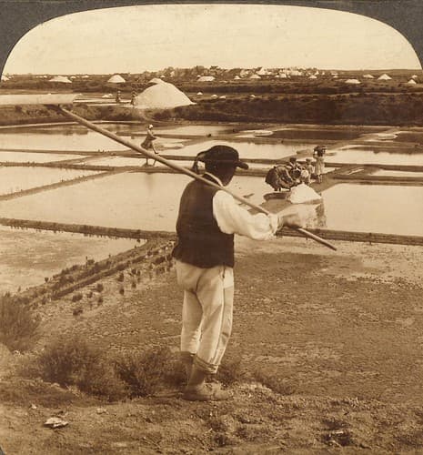 Vast salt fields with children collecting salt for stacks. Le Croisic, France