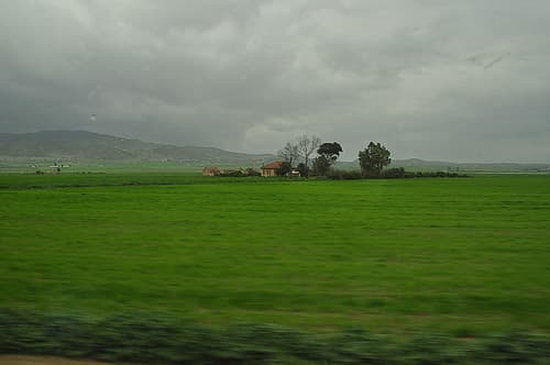 Voyage en train vers Dahmani- Tunisie Mars 2012