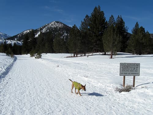Nordic skiing at Mammoth