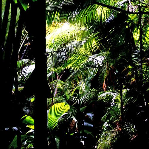 Praslin, Seychelles