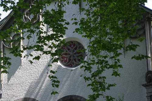 imgp4142