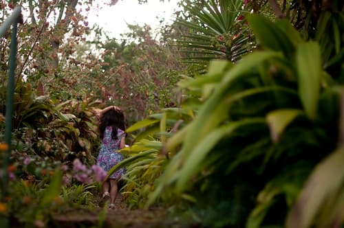 Costa Rica 2013 03