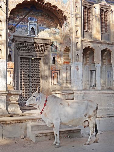 Fatehpur (Shekhawati, Rajasthan)