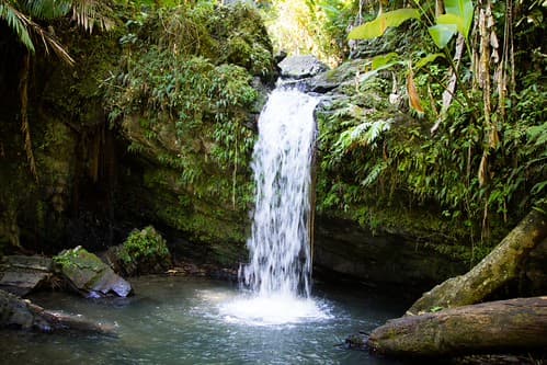 Puerto-Rico-Day-2-121