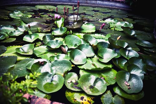 Voyage Viêt-Nam Vietnam — photo de Why Not Linh Vu