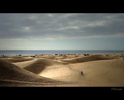 Canaries travel — photo de thirau