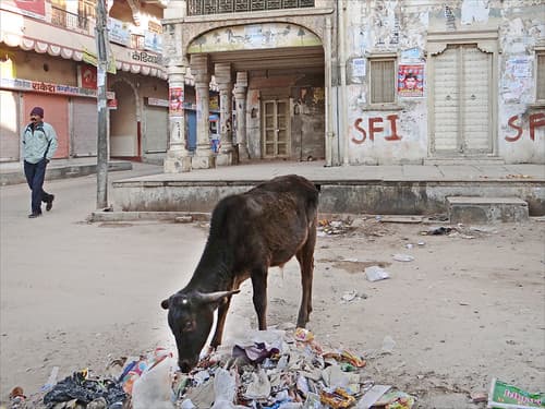Fatehpur (Shekhawati, Rajasthan)