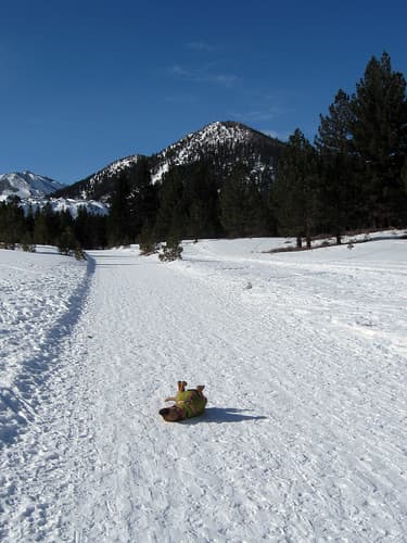 Nordic skiing at Mammoth