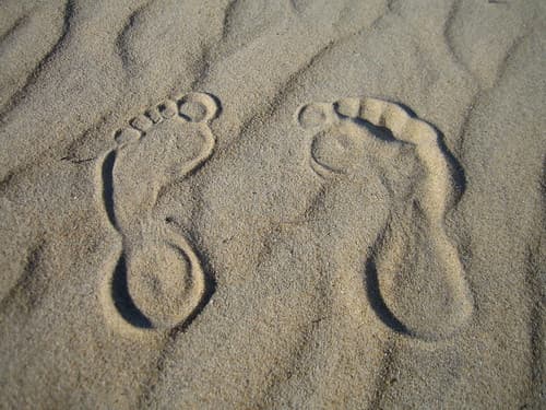 Happy feet
