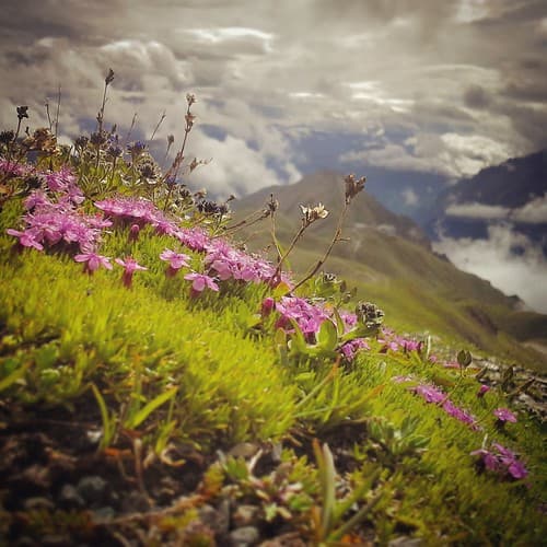 Ischgl