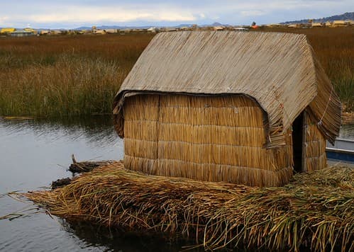 Reed House