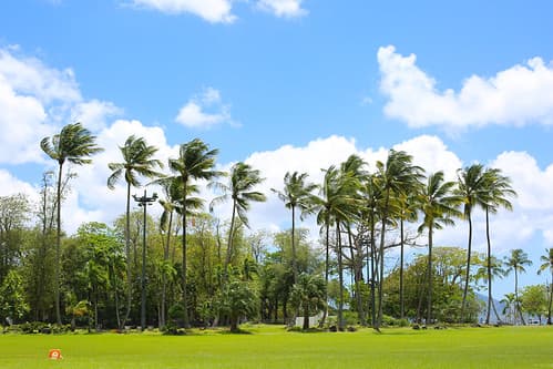 Martinique