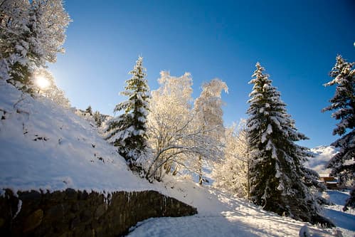 Snow in Saint-Martin-de-Belleville