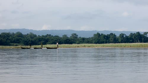 Chitwan - Nepal