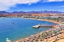 Hôtel Hotel Beach Albatros 4* — Egypte
