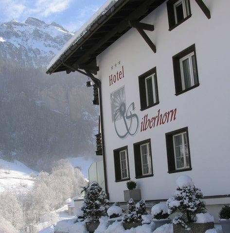 HOTEL SILBERHORN – vue 4